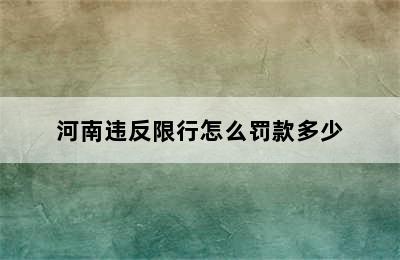 河南违反限行怎么罚款多少