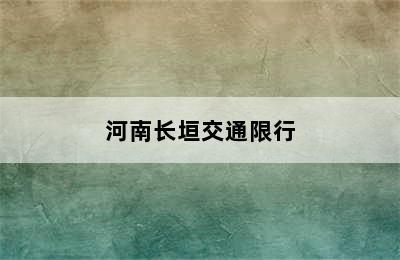 河南长垣交通限行