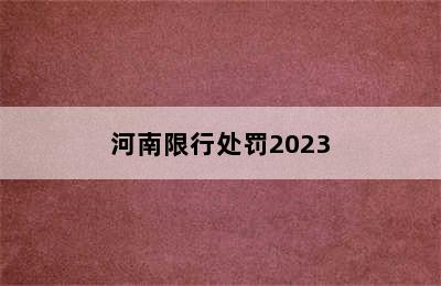 河南限行处罚2023