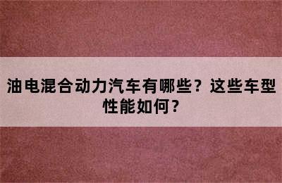 油电混合动力汽车有哪些？这些车型性能如何？