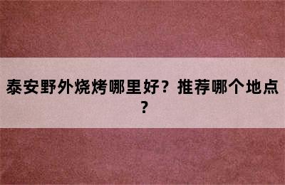 泰安野外烧烤哪里好？推荐哪个地点？