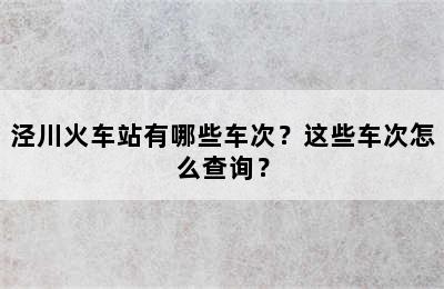 泾川火车站有哪些车次？这些车次怎么查询？