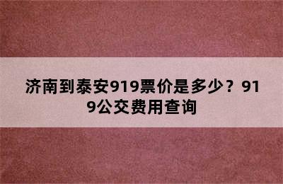 济南到泰安919票价是多少？919公交费用查询