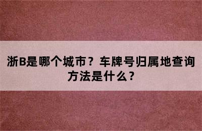 浙B是哪个城市？车牌号归属地查询方法是什么？