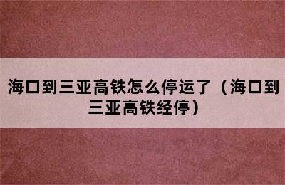 海口到三亚高铁怎么停运了（海口到三亚高铁经停）