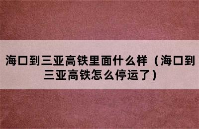 海口到三亚高铁里面什么样（海口到三亚高铁怎么停运了）