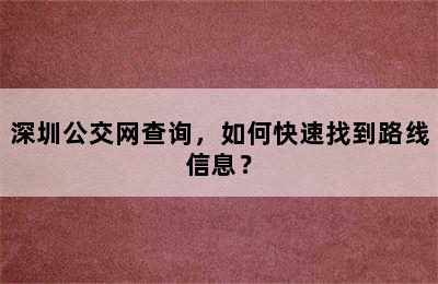 深圳公交网查询，如何快速找到路线信息？