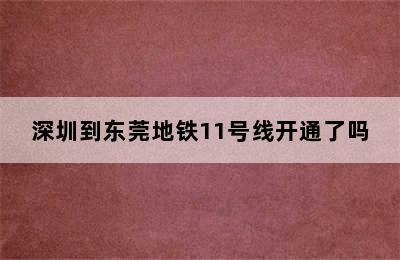 深圳到东莞地铁11号线开通了吗