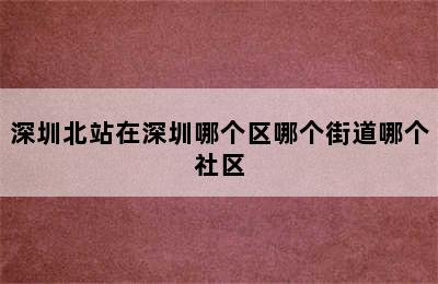 深圳北站在深圳哪个区哪个街道哪个社区