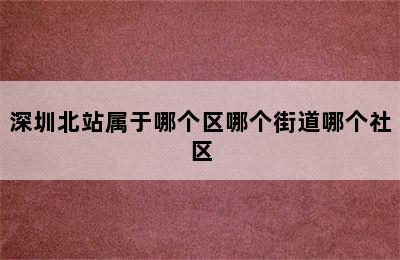 深圳北站属于哪个区哪个街道哪个社区