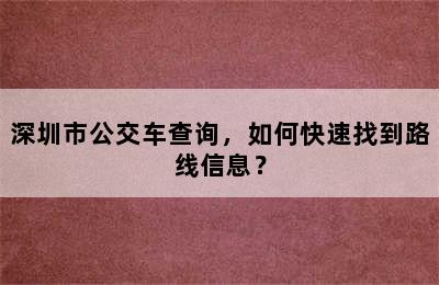 深圳市公交车查询，如何快速找到路线信息？