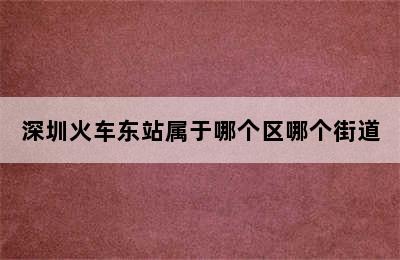 深圳火车东站属于哪个区哪个街道