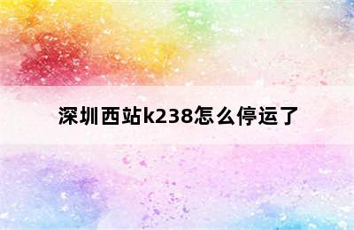 深圳西站k238怎么停运了