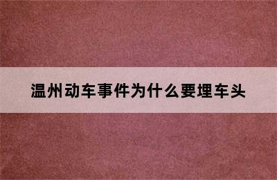 温州动车事件为什么要埋车头