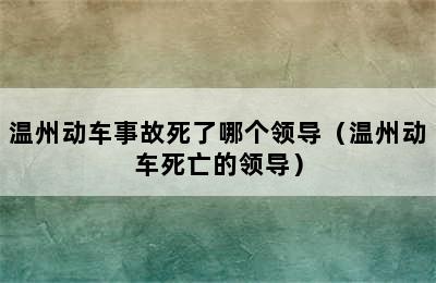 温州动车事故死了哪个领导（温州动车死亡的领导）