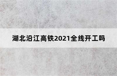 湖北沿江高铁2021全线开工吗