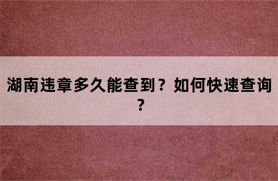 湖南违章多久能查到？如何快速查询？