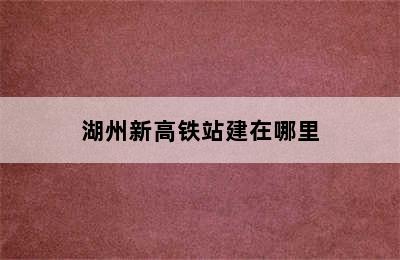 湖州新高铁站建在哪里