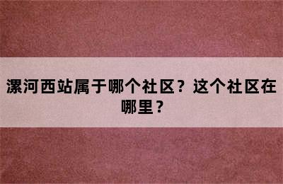 漯河西站属于哪个社区？这个社区在哪里？