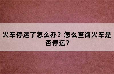 火车停运了怎么办？怎么查询火车是否停运？