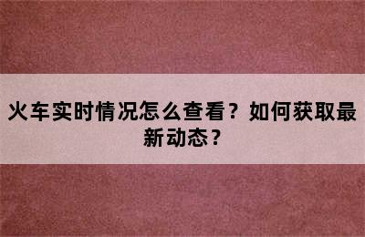 火车实时情况怎么查看？如何获取最新动态？