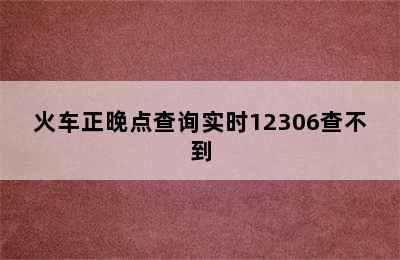 火车正晚点查询实时12306查不到