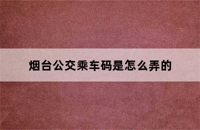 烟台公交乘车码是怎么弄的