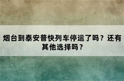 烟台到泰安普快列车停运了吗？还有其他选择吗？