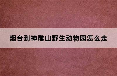 烟台到神雕山野生动物园怎么走