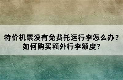 特价机票没有免费托运行李怎么办？如何购买额外行李额度？