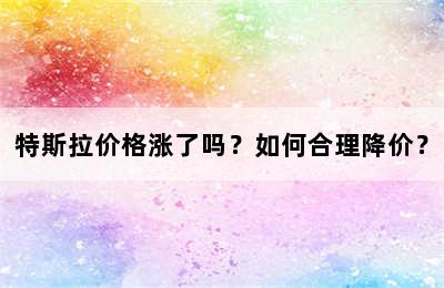 特斯拉价格涨了吗？如何合理降价？