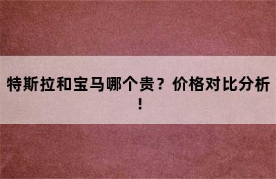 特斯拉和宝马哪个贵？价格对比分析！