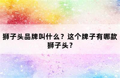 狮子头品牌叫什么？这个牌子有哪款狮子头？