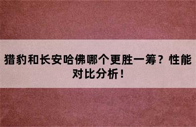 猎豹和长安哈佛哪个更胜一筹？性能对比分析！