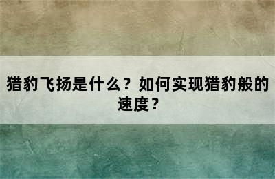 猎豹飞扬是什么？如何实现猎豹般的速度？