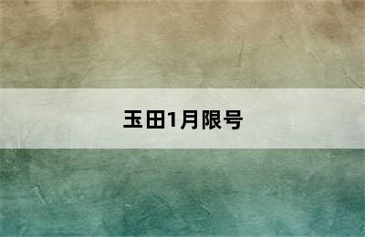 玉田1月限号