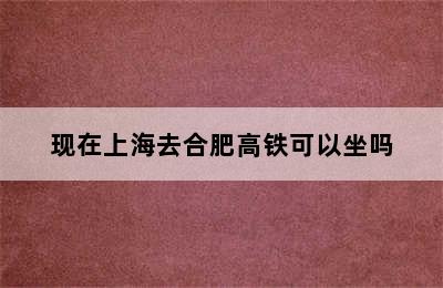 现在上海去合肥高铁可以坐吗