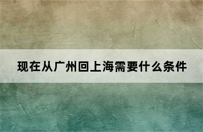 现在从广州回上海需要什么条件