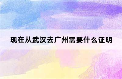 现在从武汉去广州需要什么证明