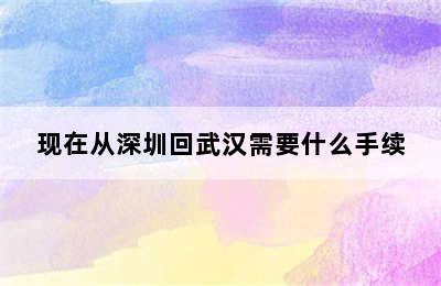 现在从深圳回武汉需要什么手续