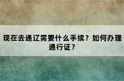 现在去通辽需要什么手续？如何办理通行证？