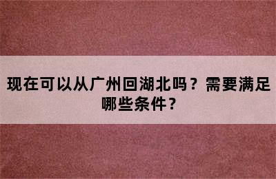 现在可以从广州回湖北吗？需要满足哪些条件？