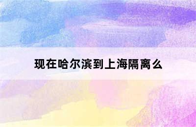 现在哈尔滨到上海隔离么