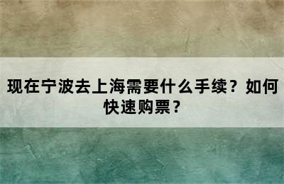 现在宁波去上海需要什么手续？如何快速购票？