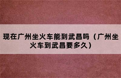 现在广州坐火车能到武昌吗（广州坐火车到武昌要多久）