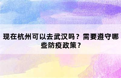 现在杭州可以去武汉吗？需要遵守哪些防疫政策？