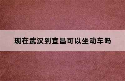 现在武汉到宜昌可以坐动车吗