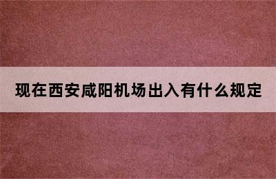 现在西安咸阳机场出入有什么规定