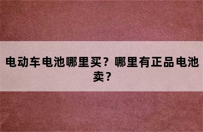 电动车电池哪里买？哪里有正品电池卖？