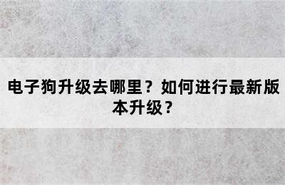 电子狗升级去哪里？如何进行最新版本升级？